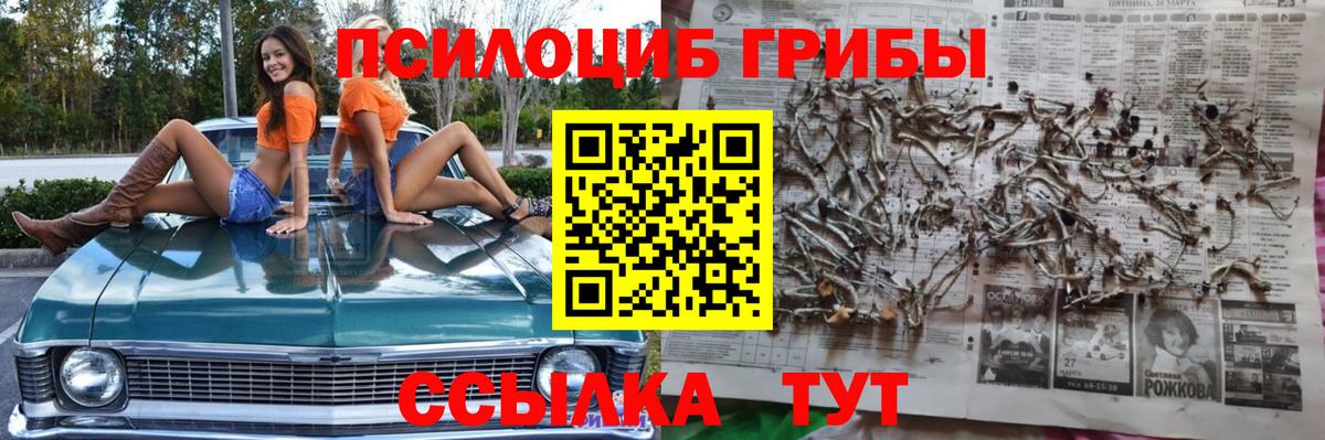 Псилоцибиновые грибы ЛСД  Вход с VPN  Алатырь 