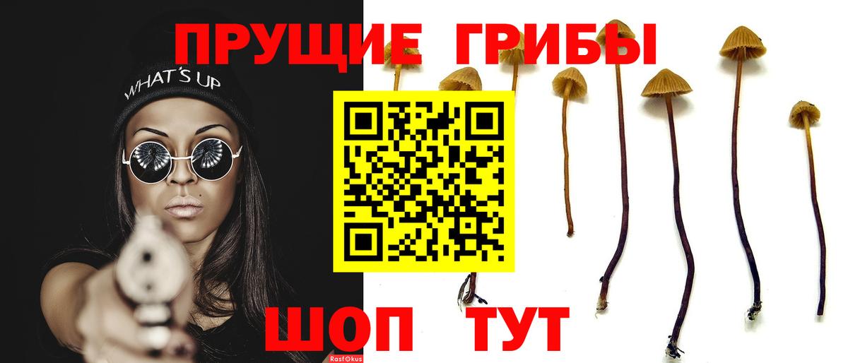 Галлюциногенные грибы MAGIC MUSHROOMS Алатырь